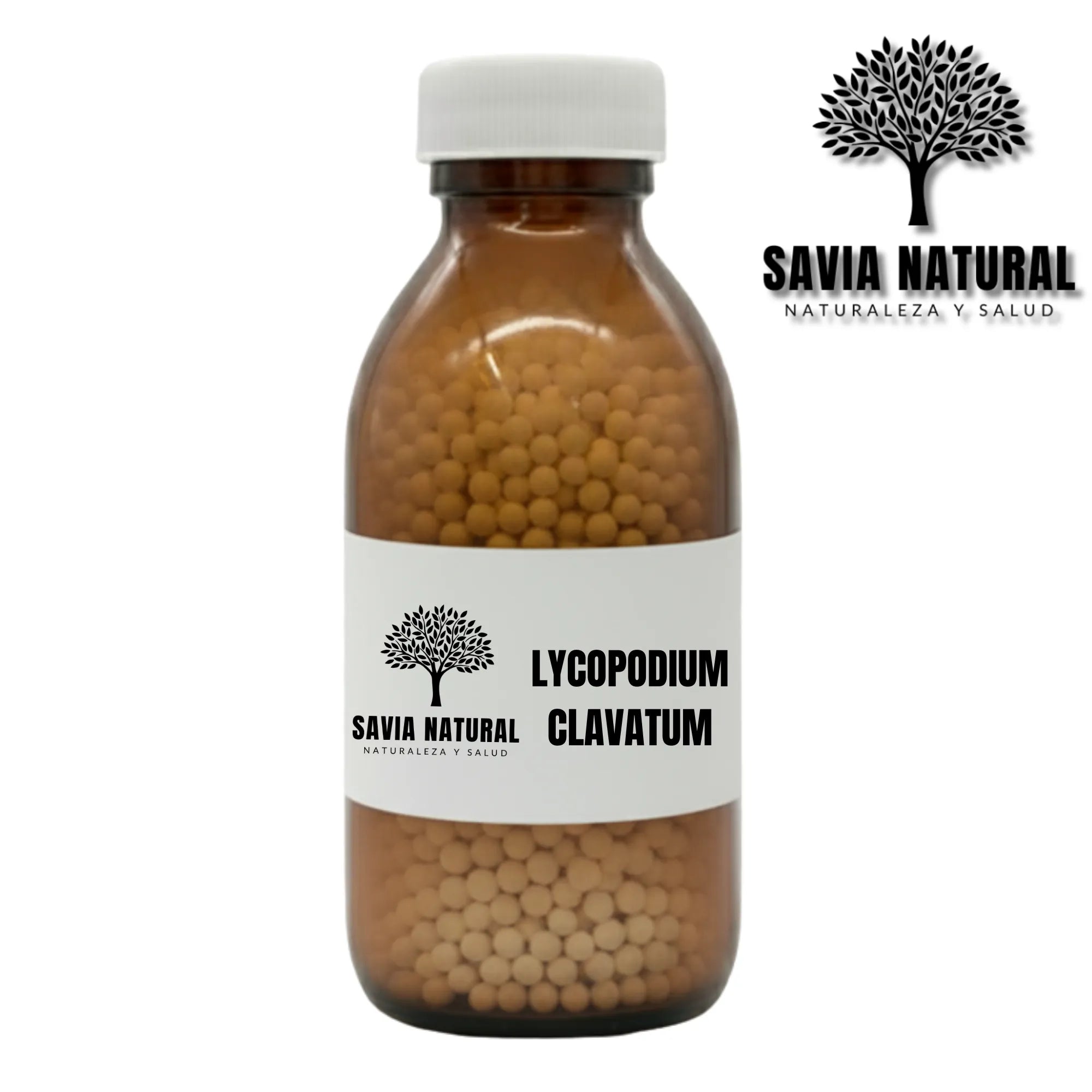 LYCOPODIUM CLAVATUM