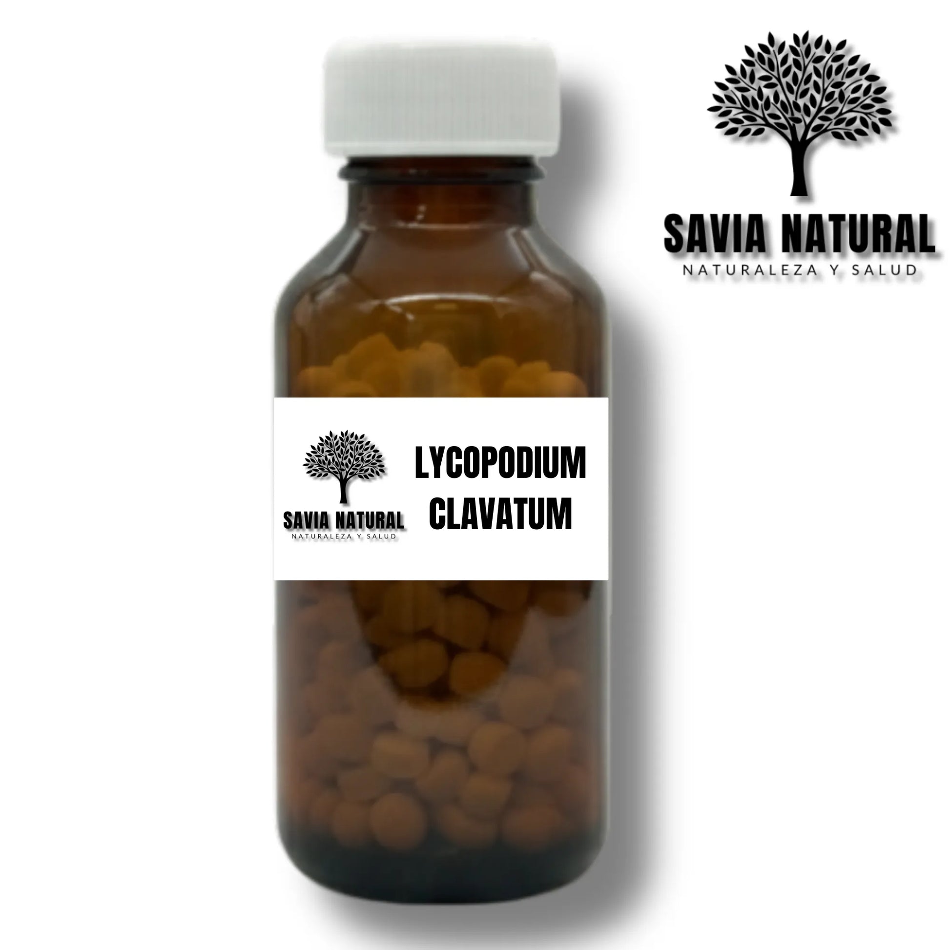 LYCOPODIUM CLAVATUM
