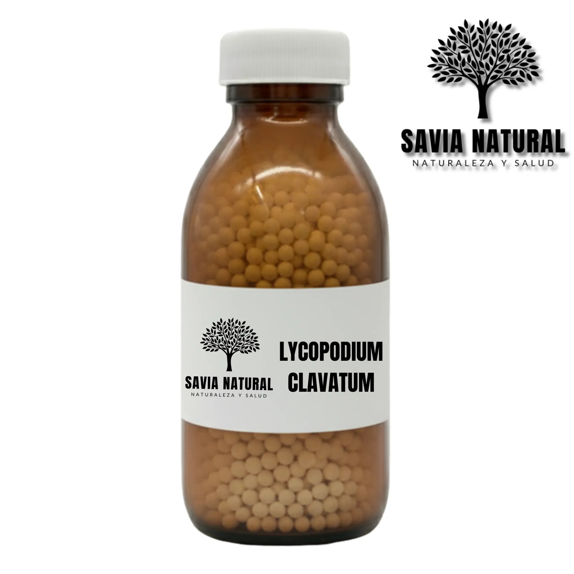 LYCOPODIUM CLAVATUM