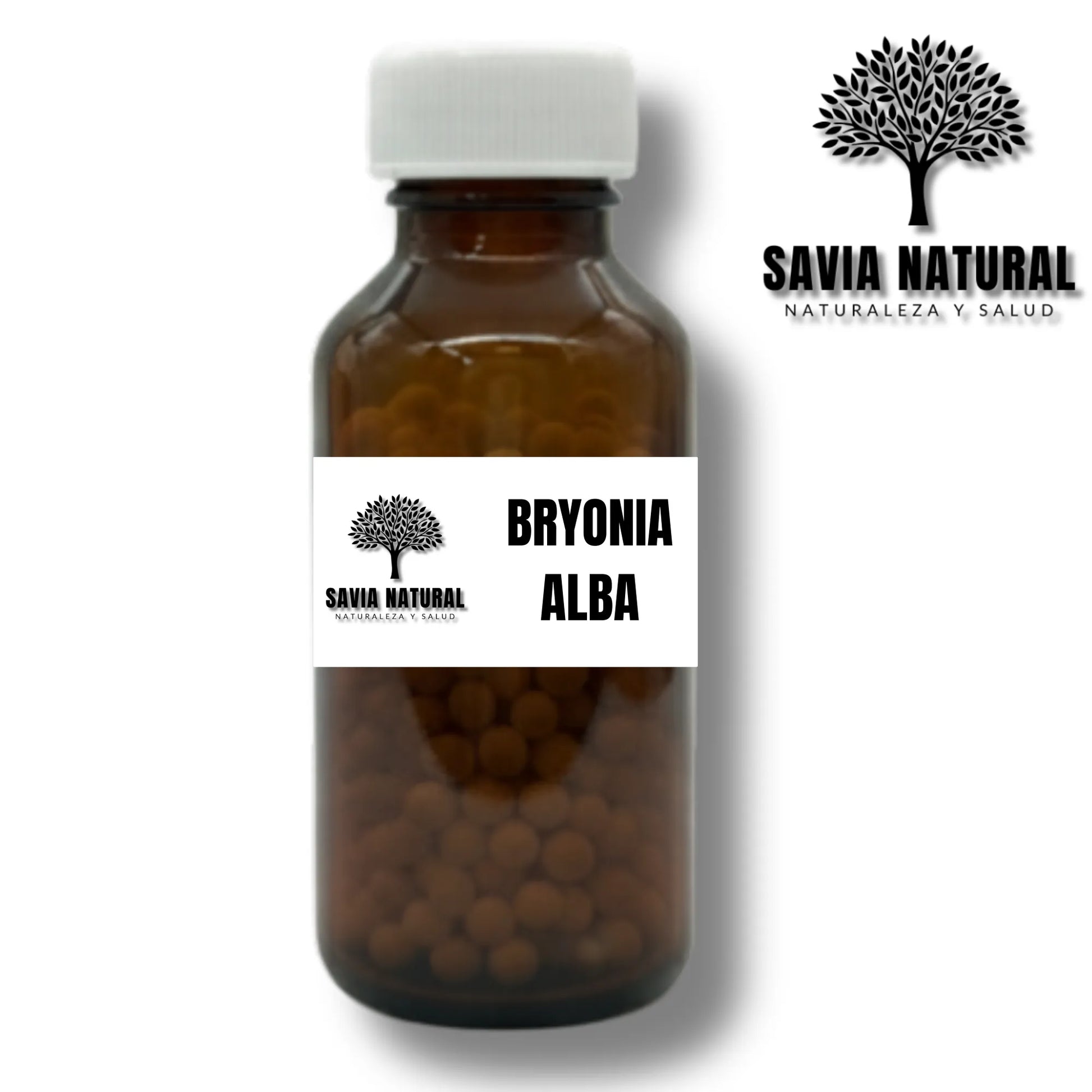 BRYONIA ALBA