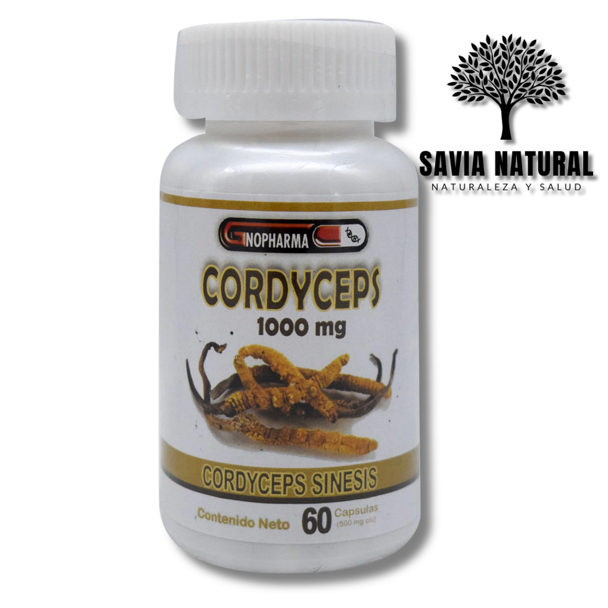 Cordyceps en Cápsulas – 60 pzas | Energía, Resistencia y Apoyo Inmune
