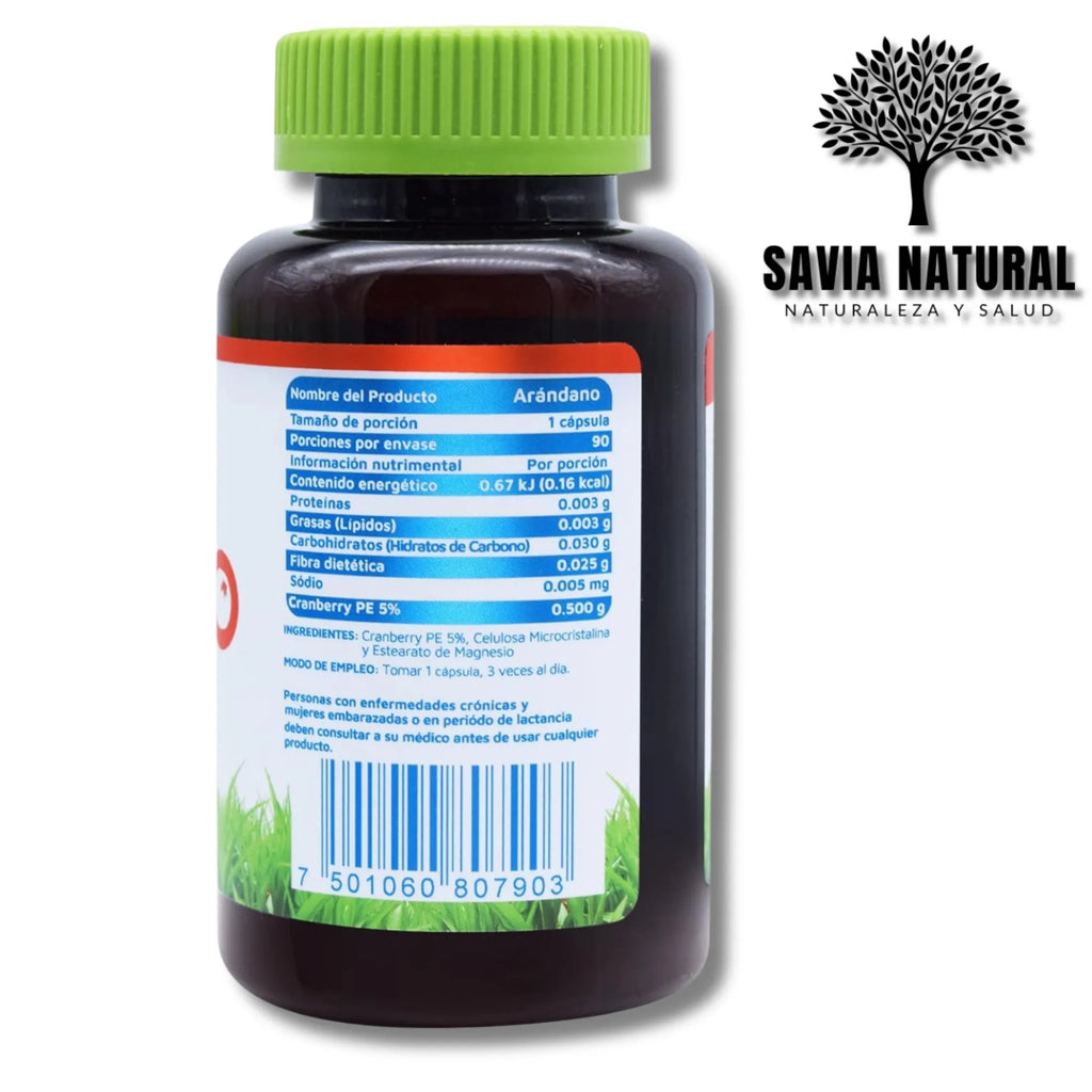 Arándano Extracto Concentrado – Salud Urinaria, Antioxidante y Defensas